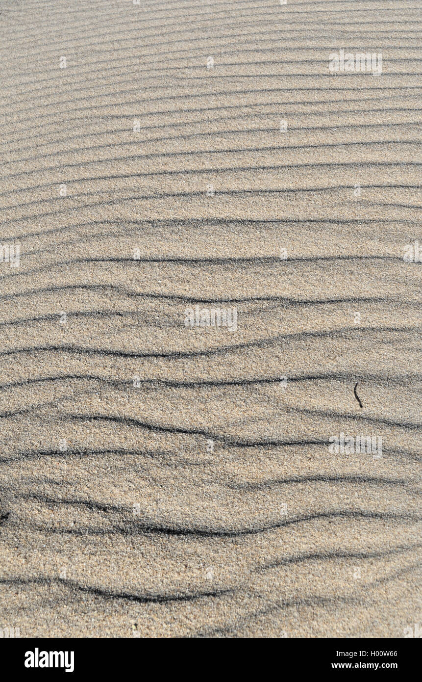 Spiaggia di sabbia texture di superficie. Gli sfondi naturali e texture Foto Stock
