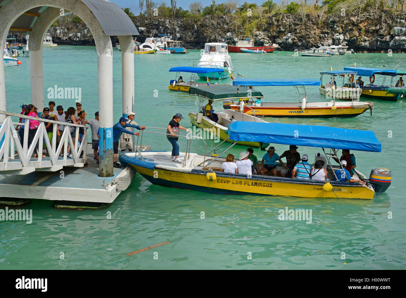 Porto di sbarco di ponti e la banchina per le navi da crociera e di escursioni in barca, Ecuador Isole Galapagos, Santa Cruz, Puerto Ayora Foto Stock