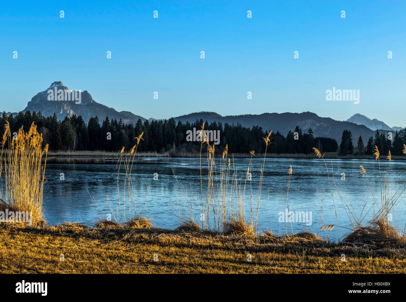 Il lago di Kochel e Saueling in autunno, in Germania, in Baviera Foto Stock