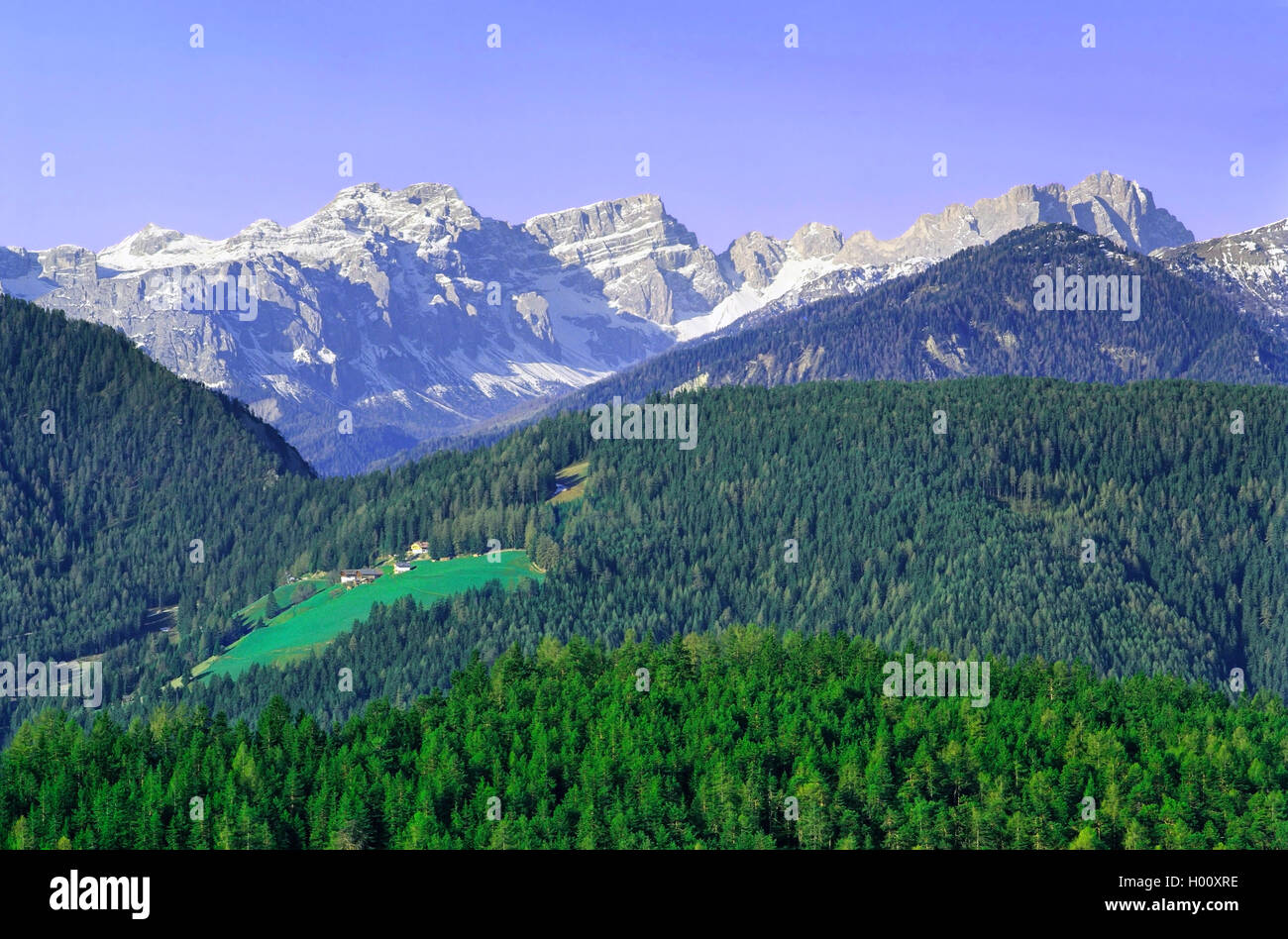 Vista del Gruppo delle Odle, Italia, Alto Adige, Dolomiti Foto Stock