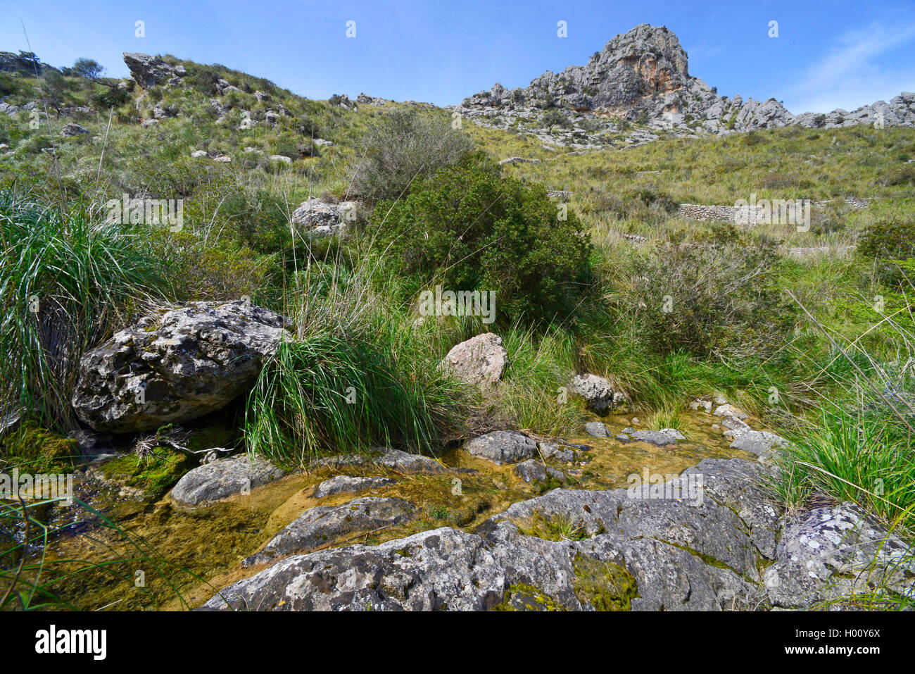 Creek presso la valle Coanegra, Serra de Tramuntana, Spagna, Balearen, Maiorca Foto Stock