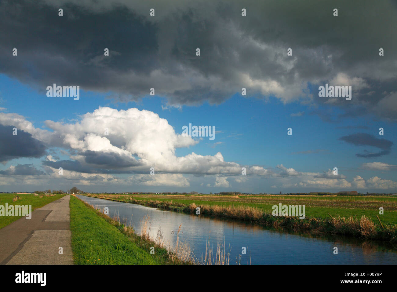 Paesaggio con prati e con thundercloud, Paesi Bassi Utrecht Eemnes Foto Stock