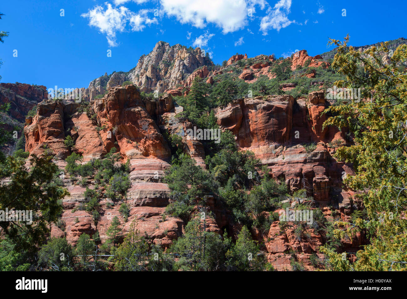 Oak Creek Canyon, STATI UNITI D'AMERICA, Arizona, Sedona Foto Stock