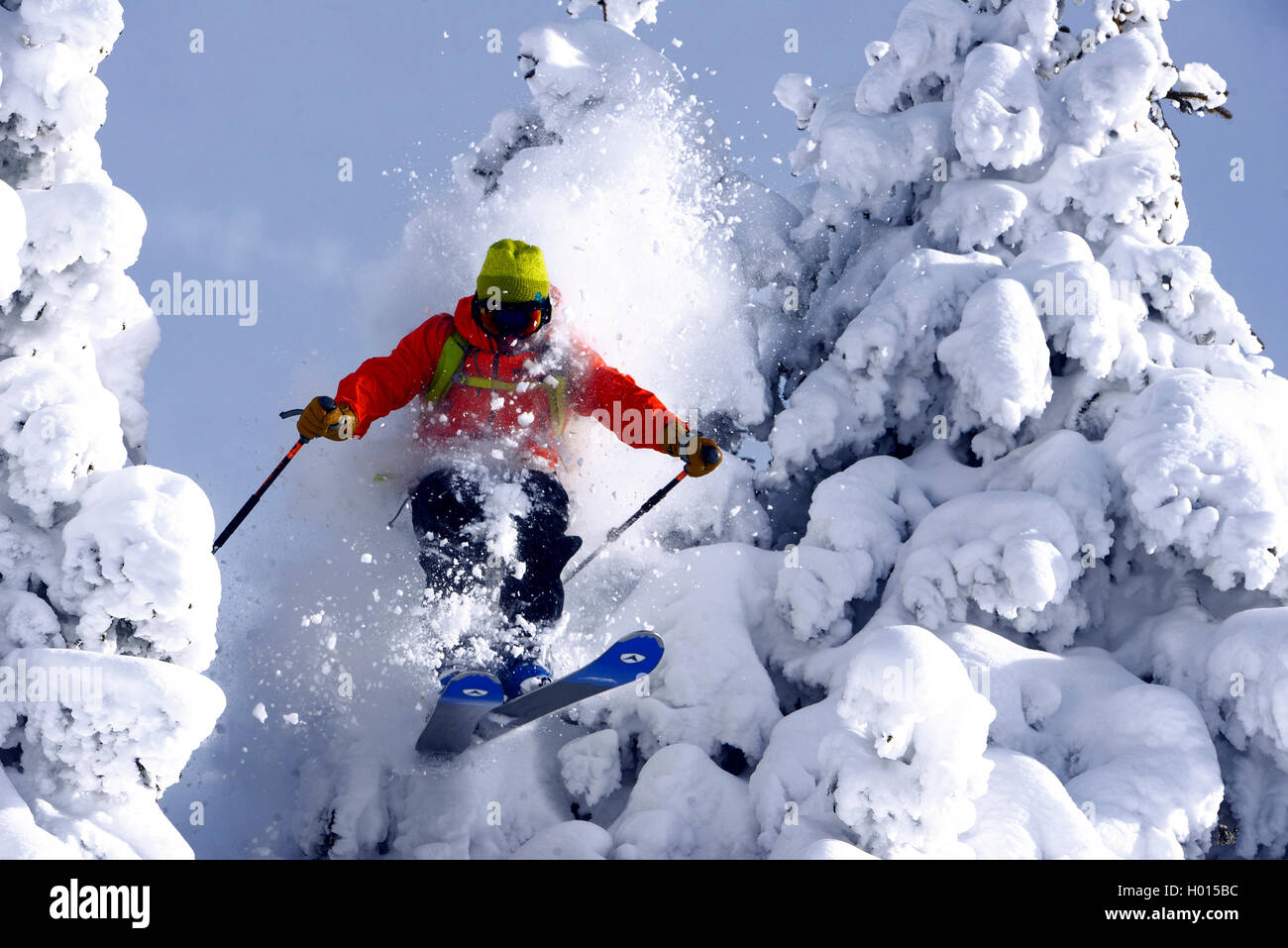 Passando con rifiniture coperta di neve conifera, Francia, Savoie Foto Stock