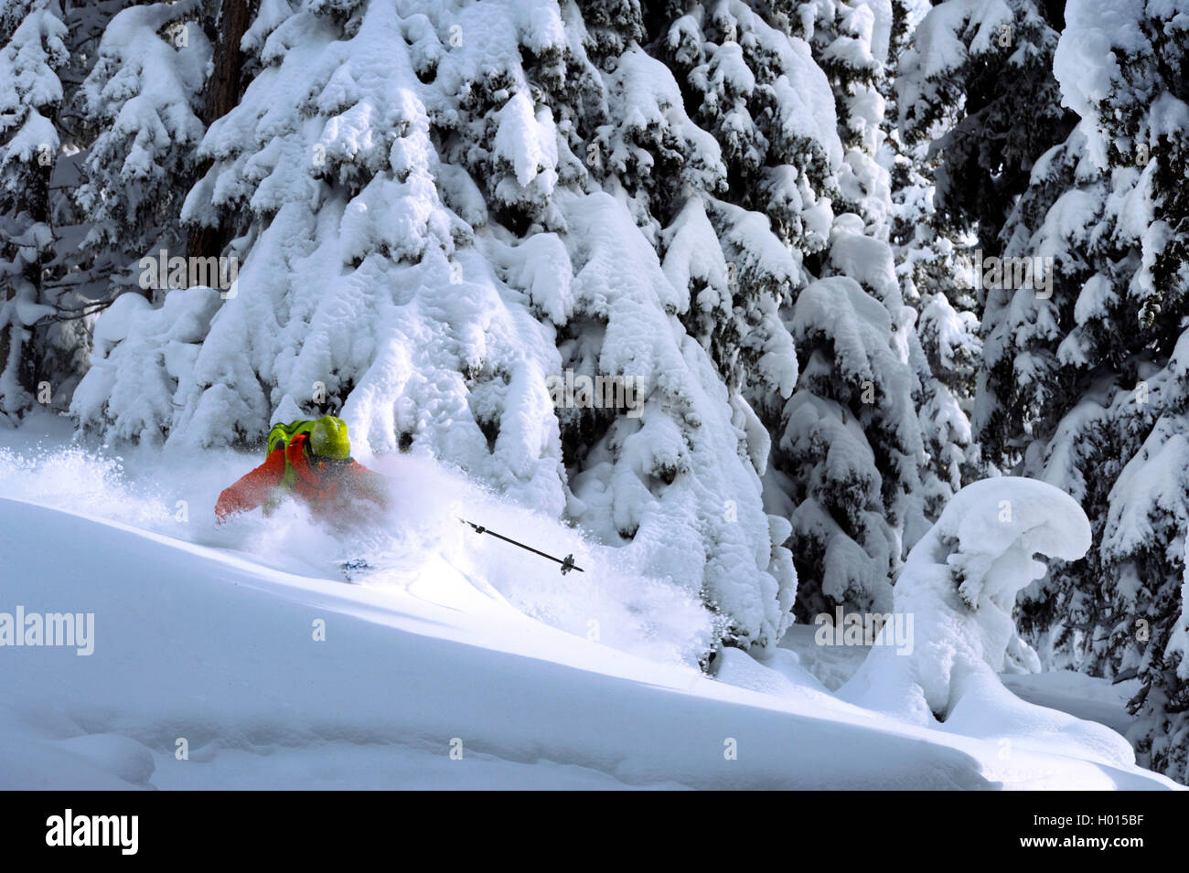 Passando con rifiniture coperta di neve la foresta di conifere, Francia, Savoie Foto Stock