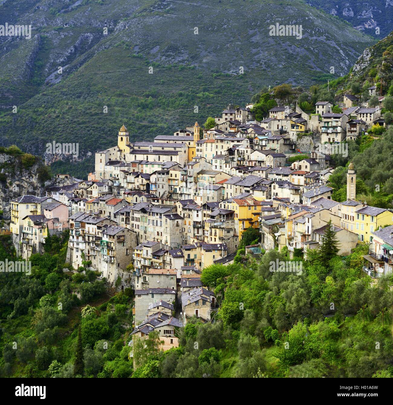 Vecchio villaggio su un pendio di montagna, Francia, Alpes Maritimes, Saorge Village Foto Stock