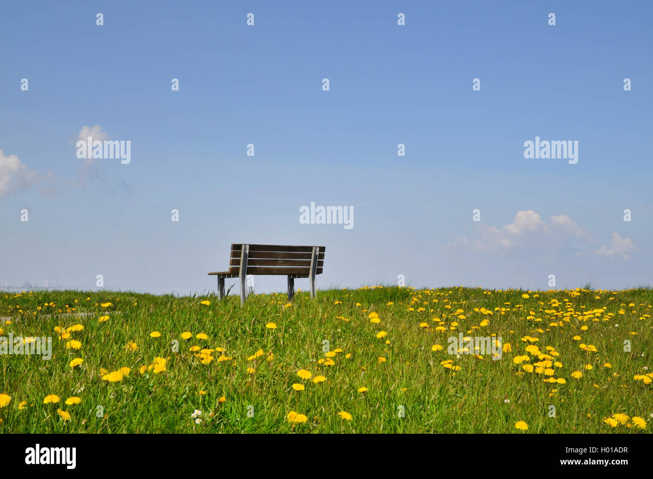 Lonesome panca sulla diga, Germania, Bassa Sassonia, Frisia orientale, Campen Foto Stock