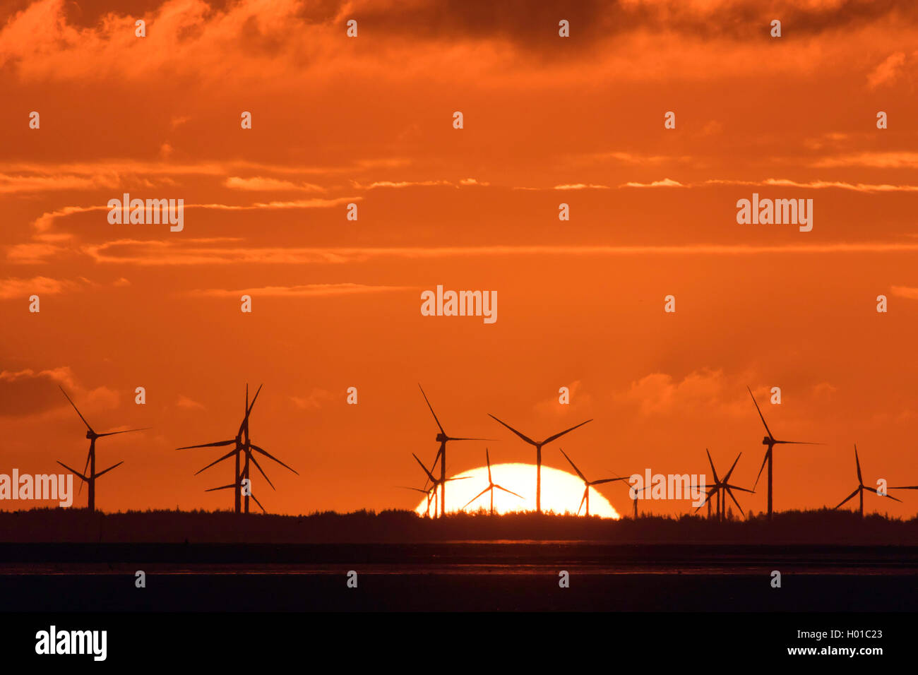 Sunrise in windpark, Germania, Schleswig-Holstein, Frisia settentrionale, Hallig Hooge Foto Stock