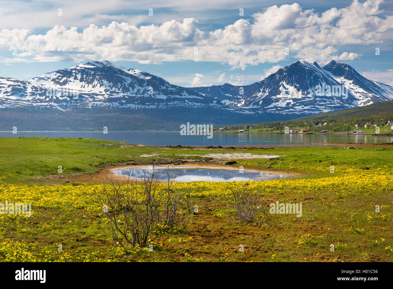 La molla nel nord della Norvegia, Bentsjordtinden, 1169 m, Middagstind, 1106 m, Norvegia, Troms, Kvaloeya, Tisnes Foto Stock
