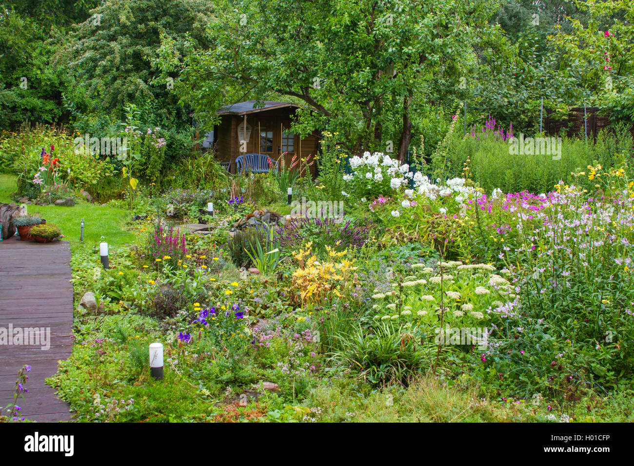 Giardino in estate, Germania, Meclemburgo-Pomerania Occidentale Foto Stock