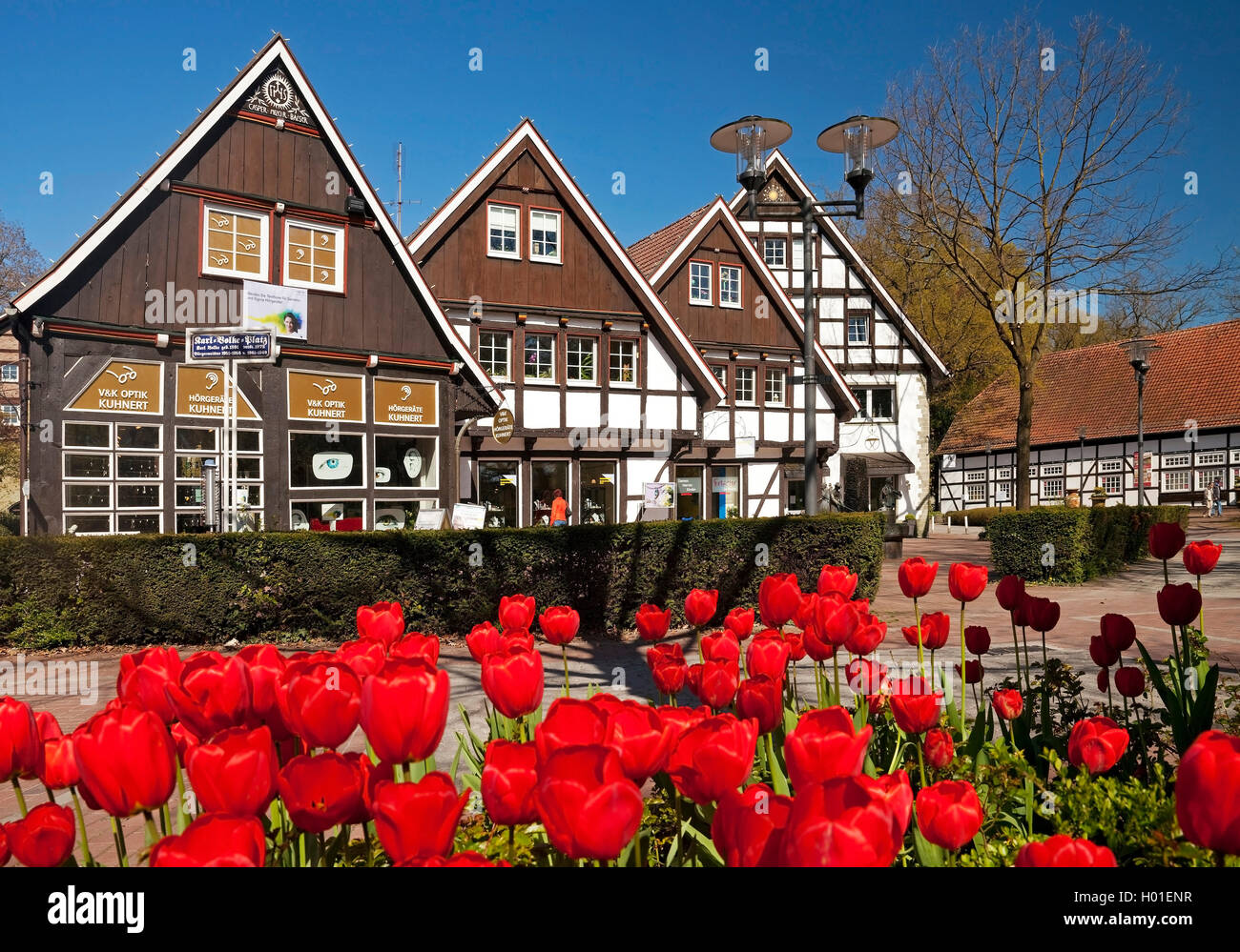 Semi-case con travi di legno a Karl Volke square in primavera, in Germania, in Renania settentrionale-Vestfalia, Bad Sassendorf Foto Stock