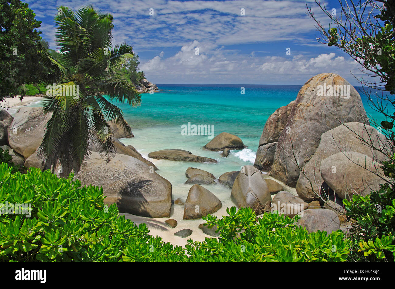 Costa verticale, Seychelles, Oceano Indiano Foto Stock