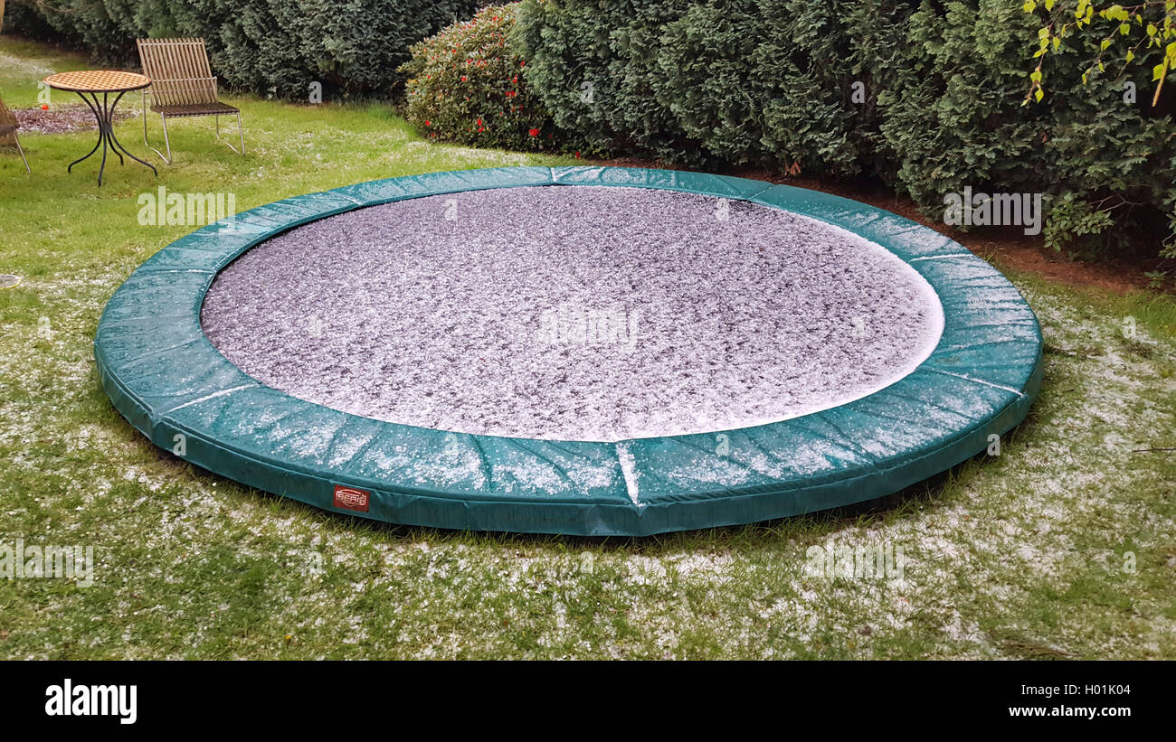 Hagel auf einem Trampolin, Deutschland | AVE su un trampolino, Germania | BLWS432227.jpg [ (c) blickwinkel/fotototo Tel. +49 (0)2 Foto Stock