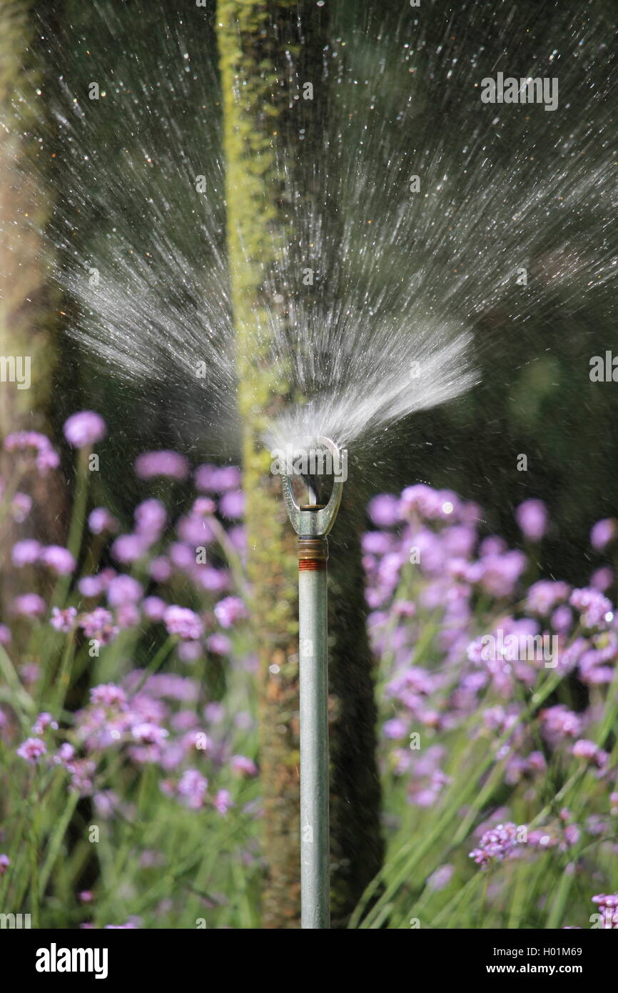 Giardino sprinkler, irrigazione, London park, estate, tubo flessibile, impianto di nebulizzazione, prato abbeveraggio, prato, irrigazione sprinkler, acqua Foto Stock