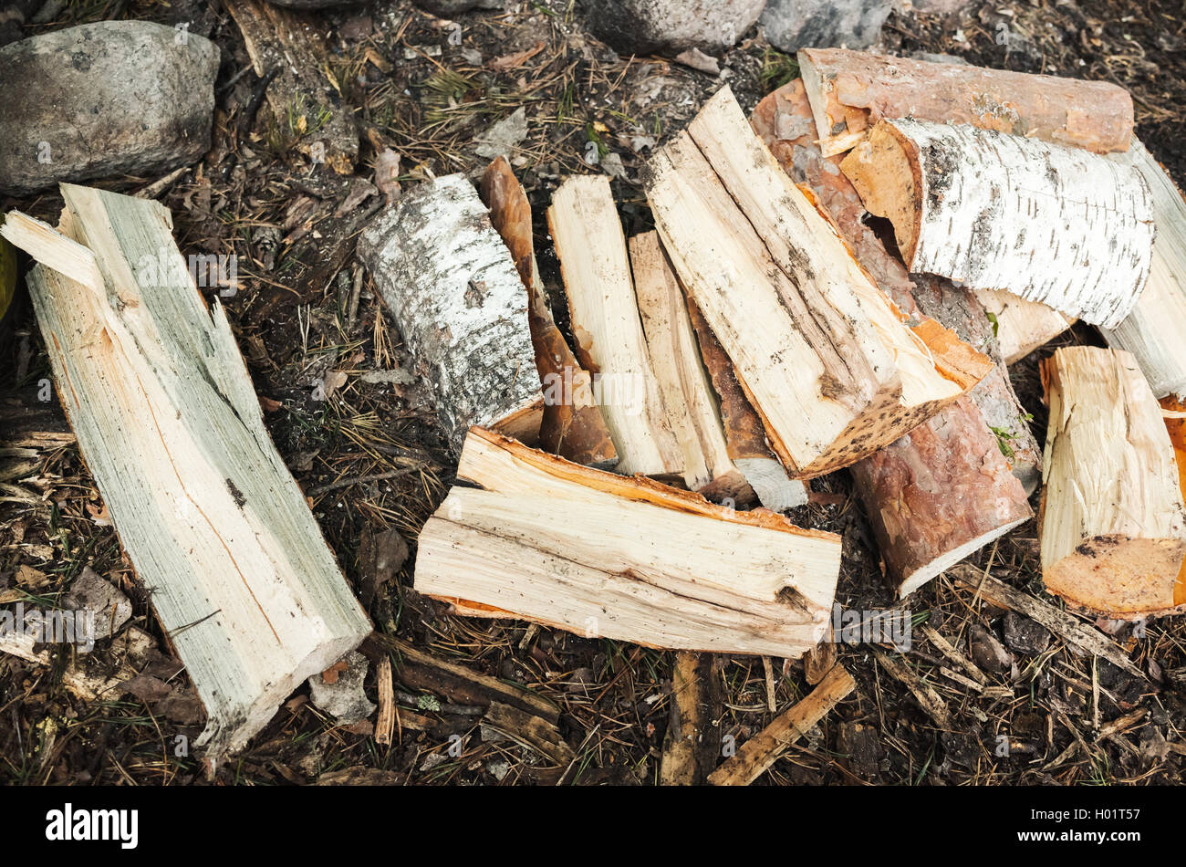 Catasta di legna da ardere sul terreno in foresta Foto Stock