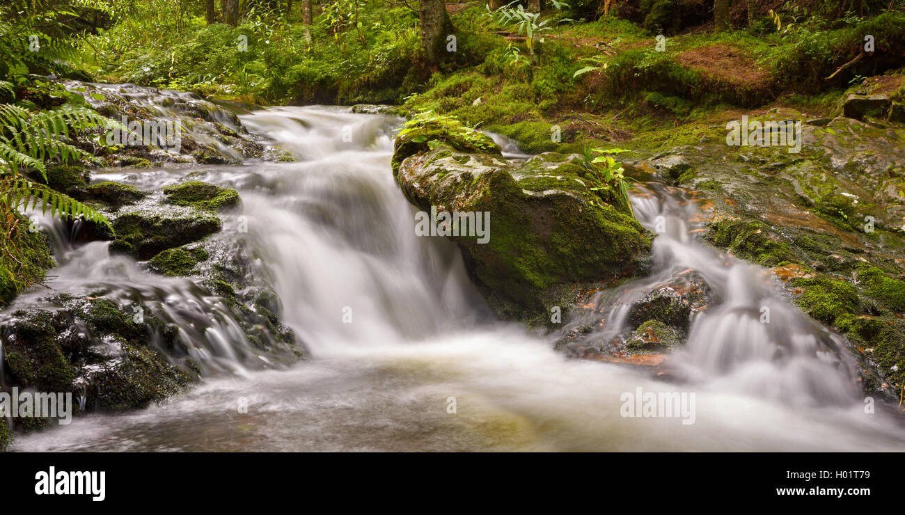 Weisse Regen cascata vicino al Lago Moraine Kleiner Arbersee nella foresta bavarese, Germania Foto Stock