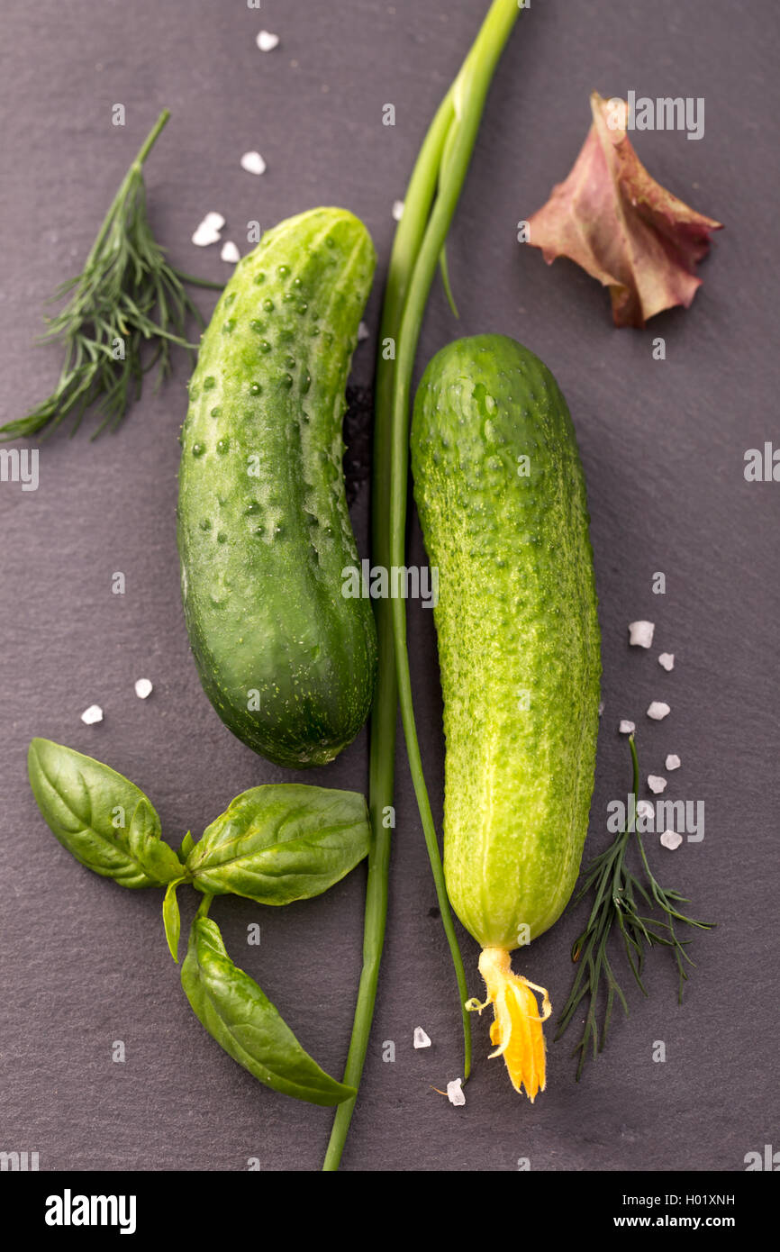 Due di cetriolo e verde Foto Stock
