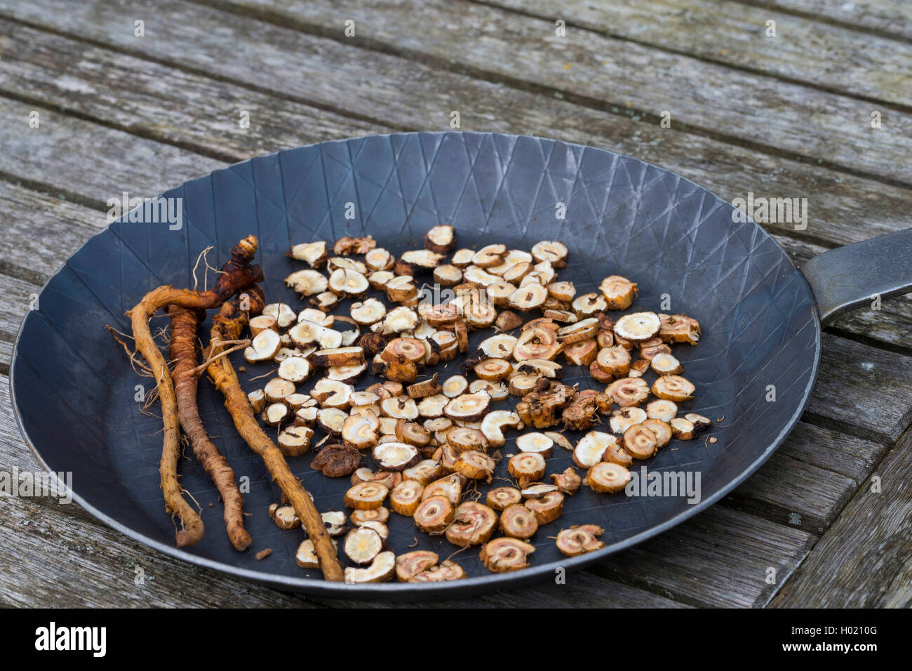 Comune di tarassaco (Taraxacum officinale), tagliato in fetta radici vengono tostate, Germania Foto Stock