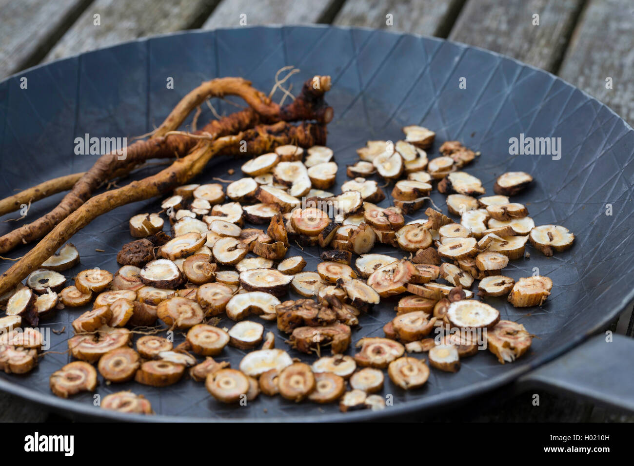 Comune di tarassaco (Taraxacum officinale), tagliato in fetta radici vengono tostate, Germania Foto Stock