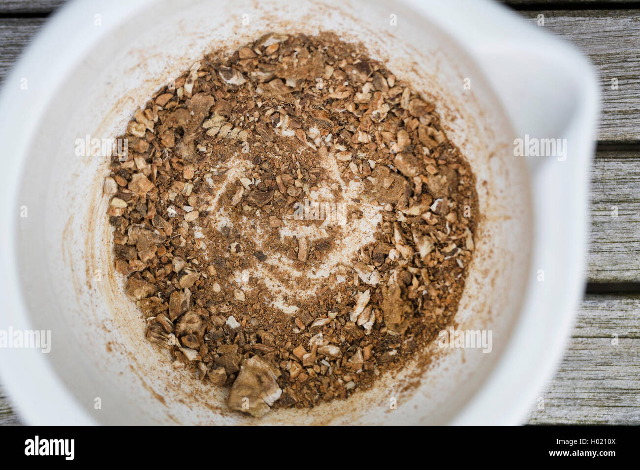 Comune di tarassaco (Taraxacum officinale), scapecchiato e arrosto di radici sono macinato in un mortaio, Germania Foto Stock