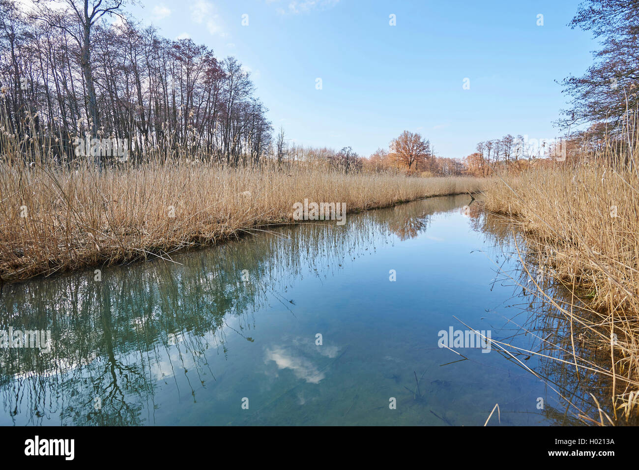 Piccolo fiume con nastro a lamelle in una palude in inverno, in Germania, in Baviera, Oberpfalz Foto Stock