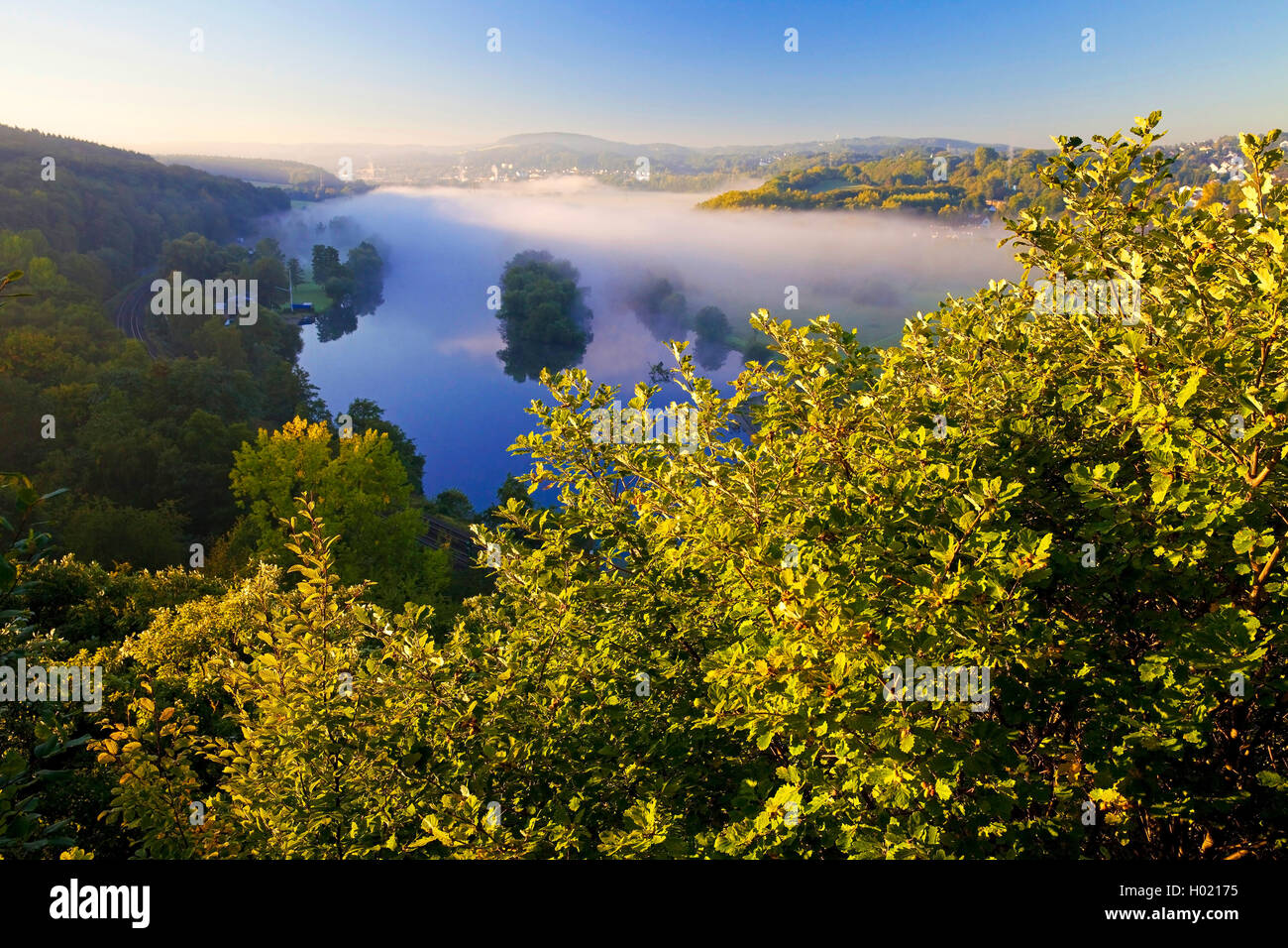 Nebbia di mattina nella valle della Ruhr in autunno, in Germania, in Renania settentrionale-Vestfalia, la zona della Ruhr, Witten Foto Stock