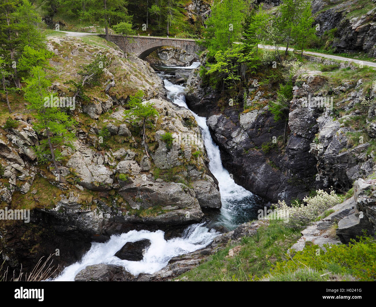 Mountain Creek nel Parco Nazionale del Mercantour, Francia, il Parco Nazionale del Mercantour, Casterino Foto Stock