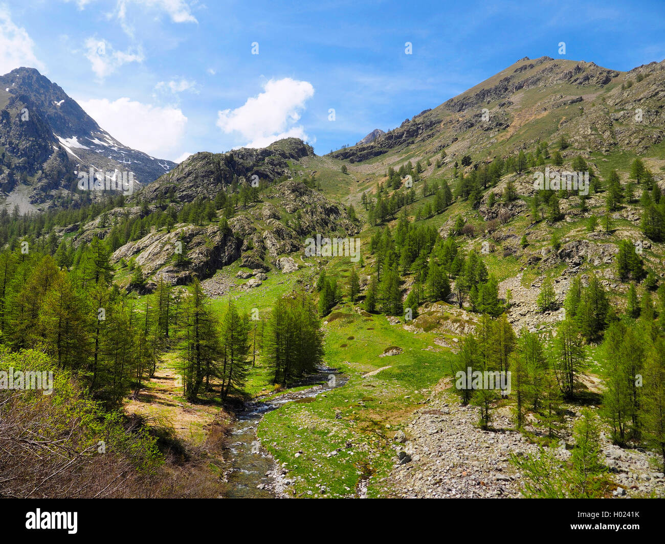 Scenario di montagna del Parco Nazionale del Mercantour in primavera, Francia, il Parco Nazionale del Mercantour, Casterino Foto Stock