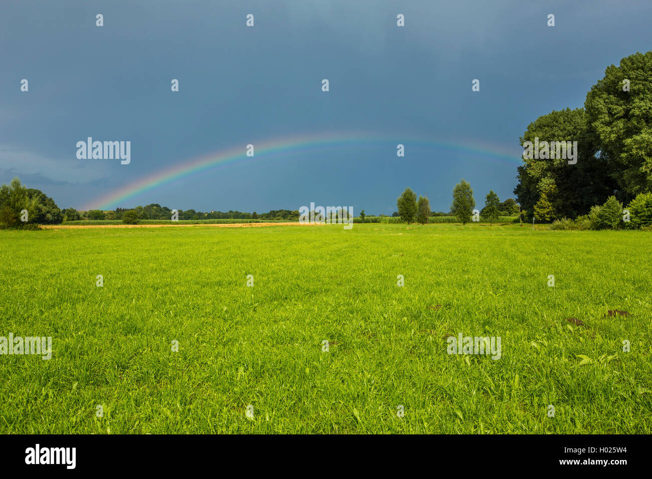 Rainbow al di sopra di pianura alluvionale, in Germania, in Baviera, Isental Foto Stock