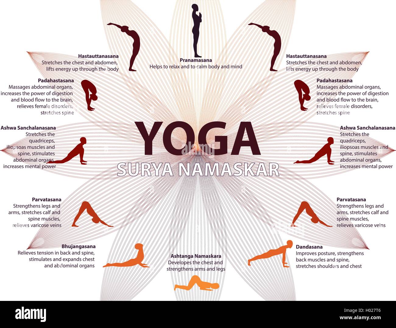 Lo Yoga infographics, Surya Namaskar sequenza Illustrazione Vettoriale