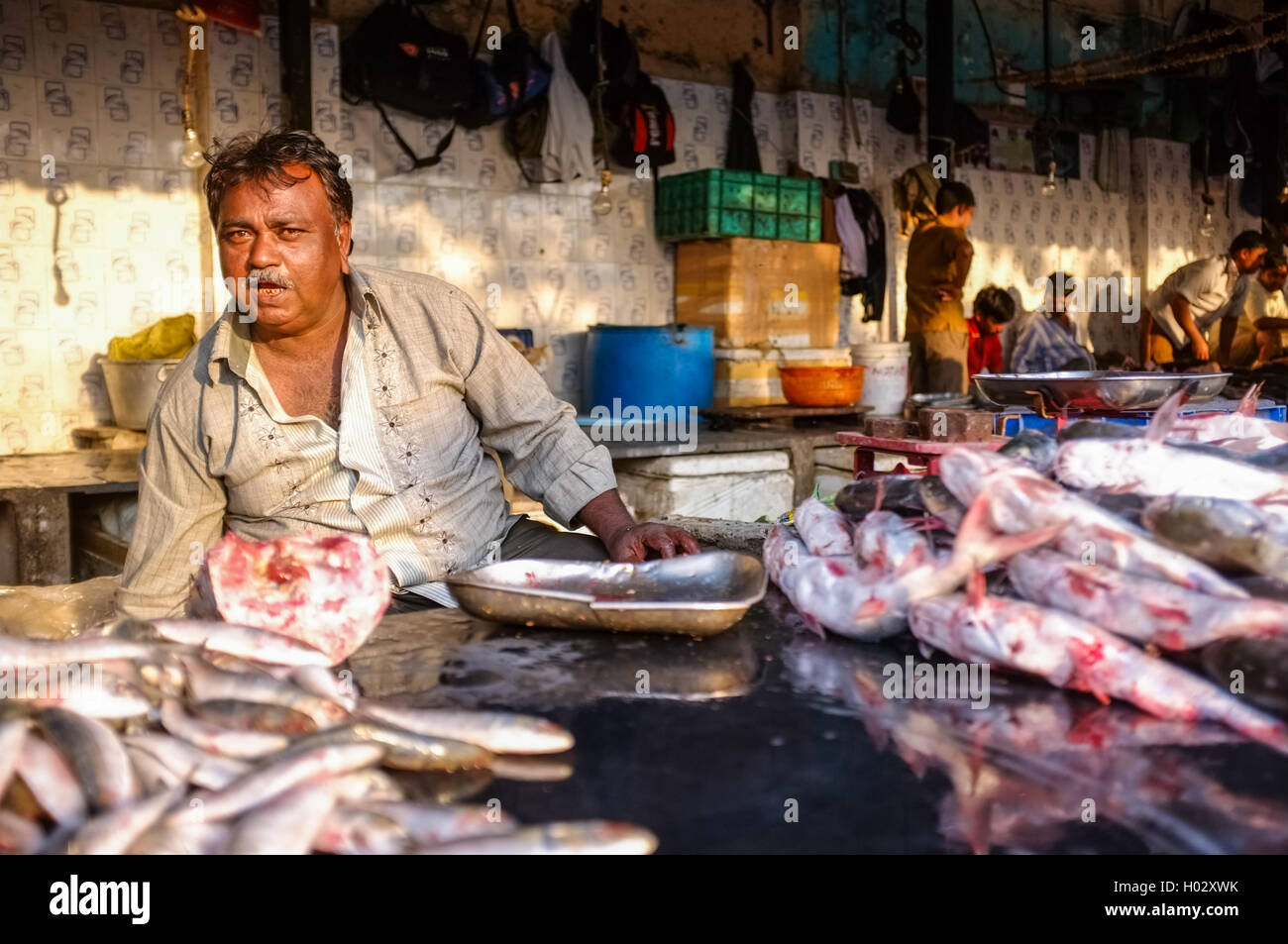 MUMBAI, India - 08 gennaio 2015: lavoratore su un mercato del pesce in posa in attesa per i clienti. Foto Stock