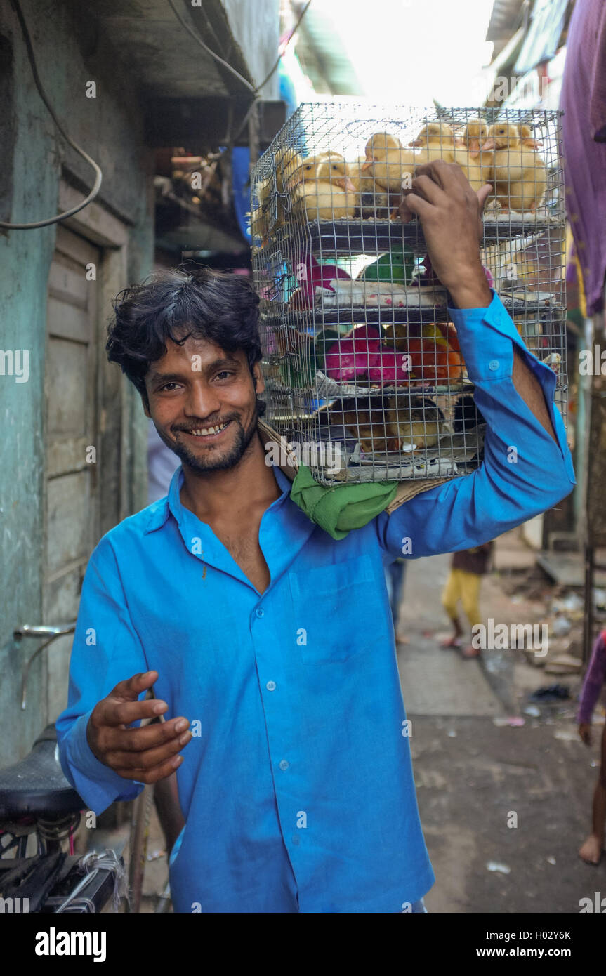 MUMBAI, India - 10 gennaio 2015: lavoratore indiano che trasportano gabbia piena di giovani di pollame. Foto Stock