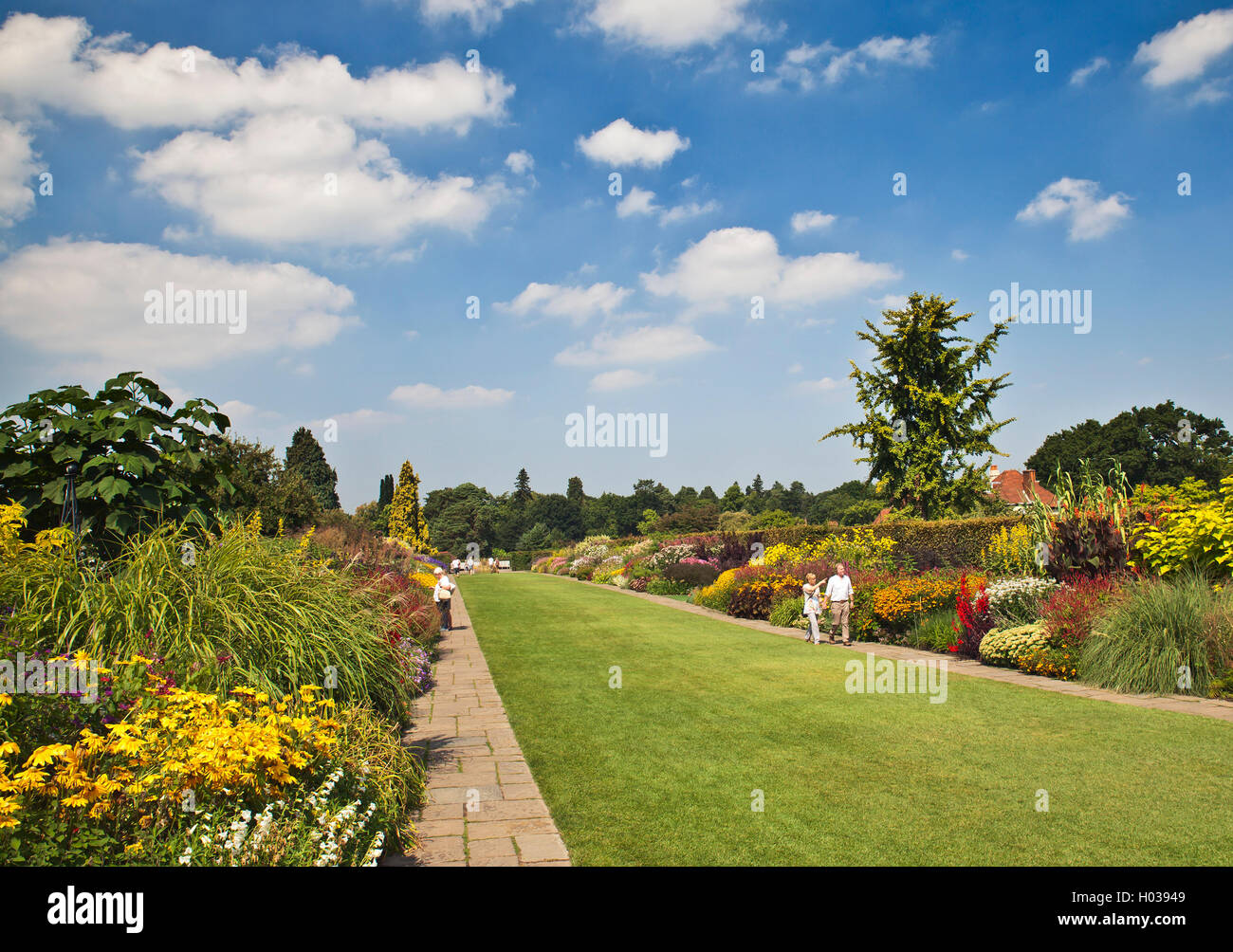 RHS Wisley lungo confine. Foto Stock