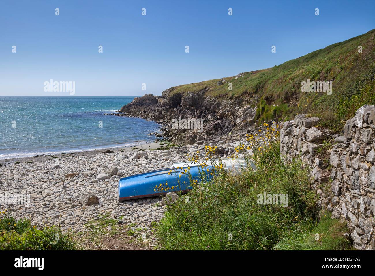 Aber Mawr, Pembrokeshire, Galles, Gran Bretagna Foto Stock