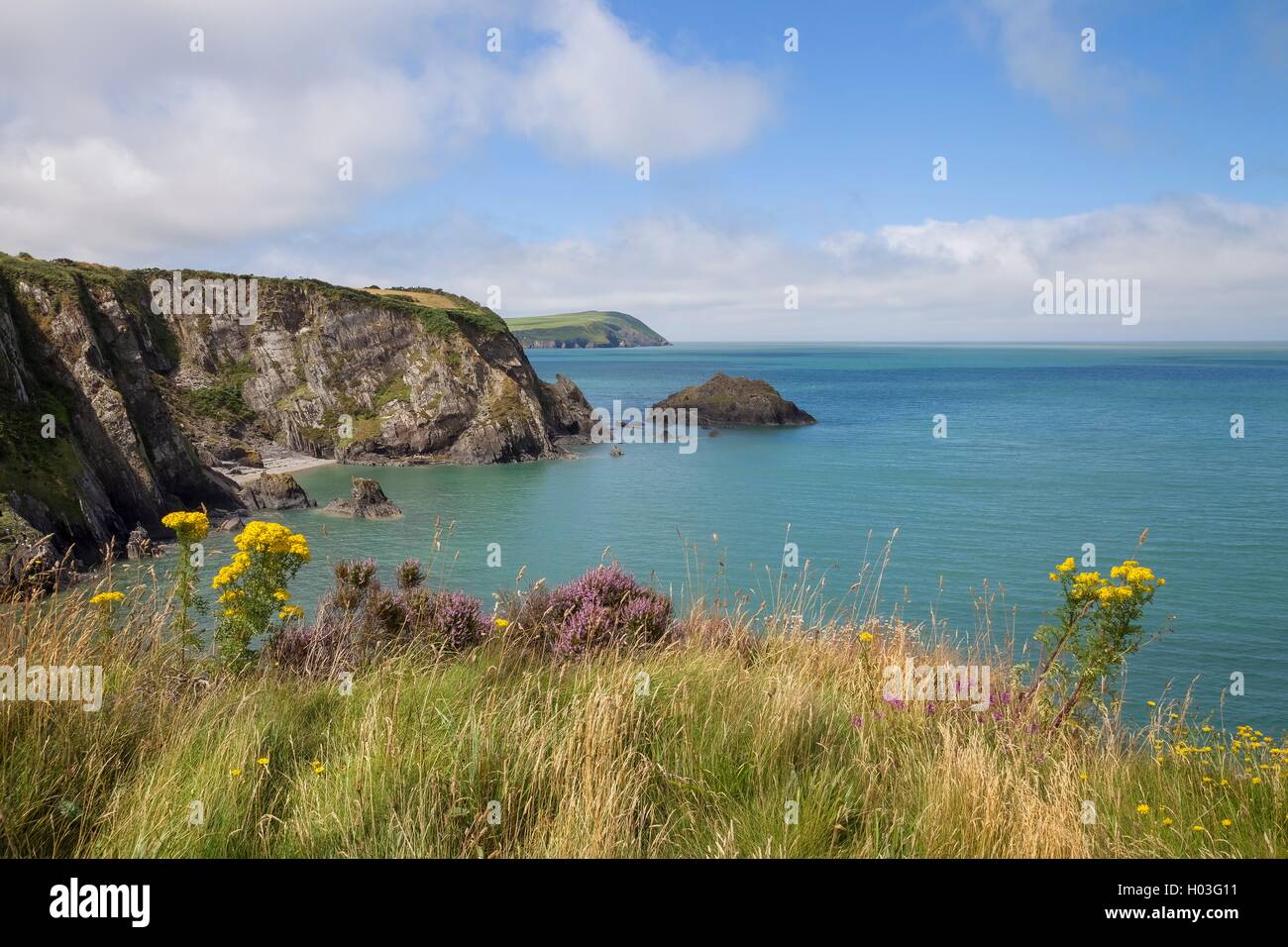 Newport Sands, Pembrokeshire, Galles, Gran Bretagna Foto Stock
