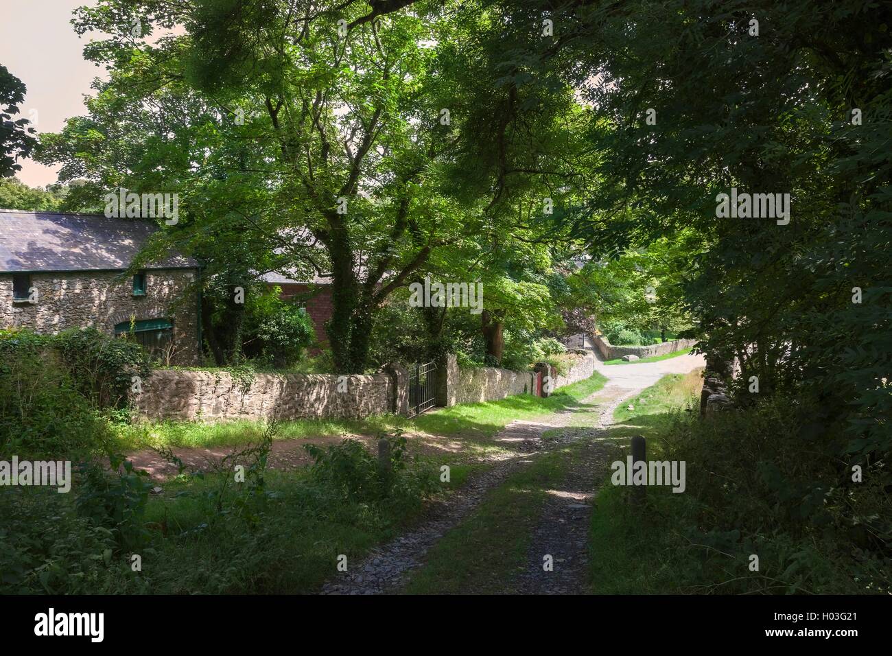 St David's, Pembrokeshire, Gran Bretagna Foto Stock