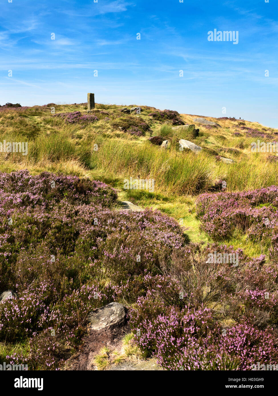 Lad Lanshaw cippo a Ilkley Moor in estate Ilkley West Yorkshire Inghilterra Foto Stock