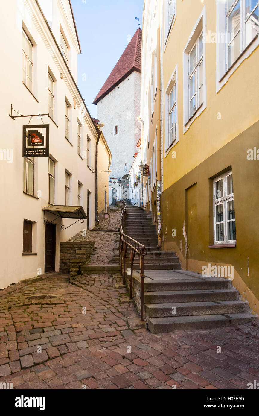 Long Street con scale chiamato Luhike Jalg (gamba corta) nella città vecchia di Tallinn, Estonia Foto Stock