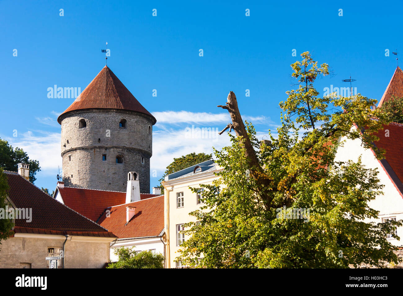 Kiek in de Kok Torretta cannone nella città vecchia di Tallinn, Estonia Foto Stock