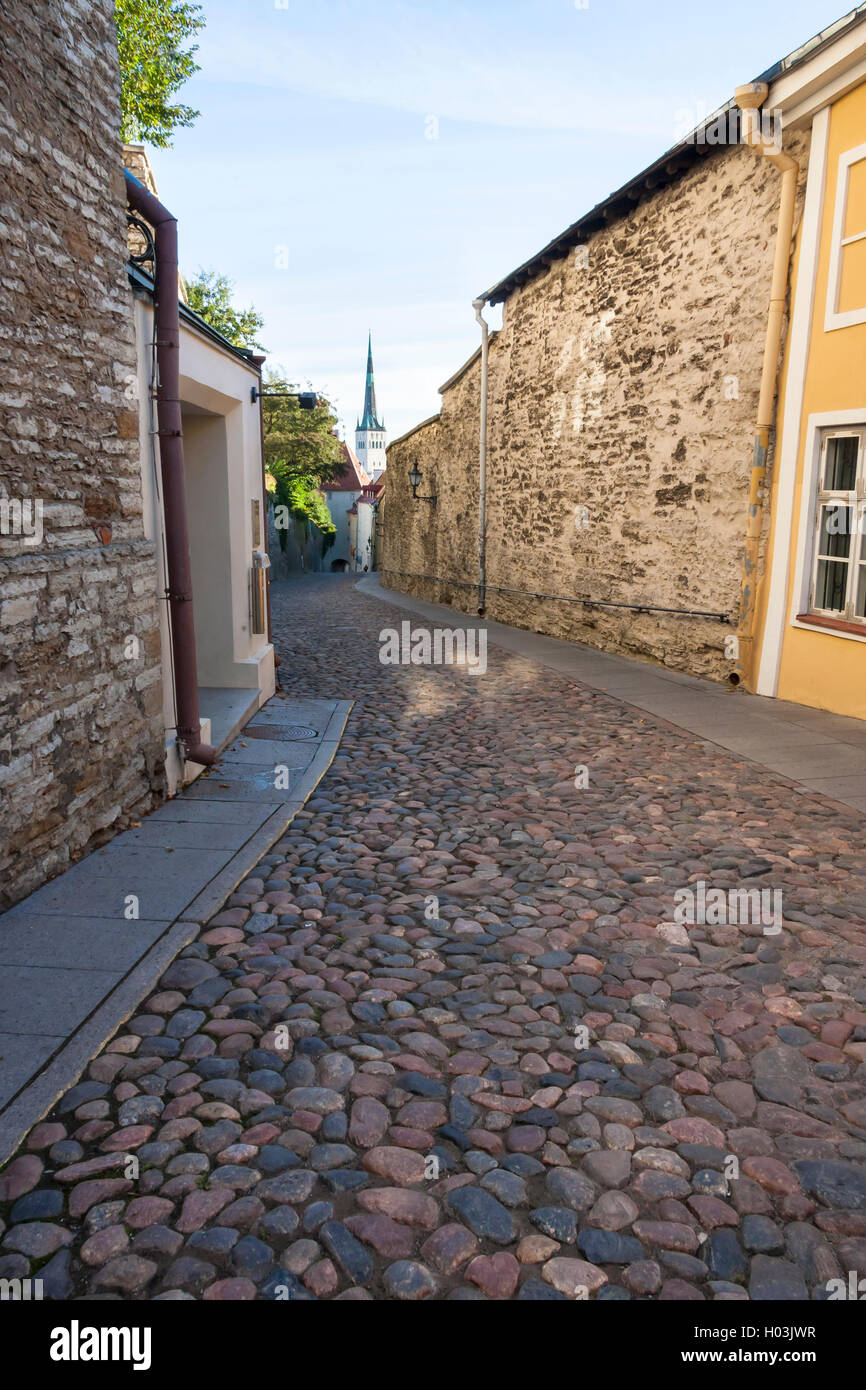 Tempo di ciottoli di pietra chiamato via Pikk Jalg (gamba lunga) nella città vecchia di Tallinn, Estonia Foto Stock
