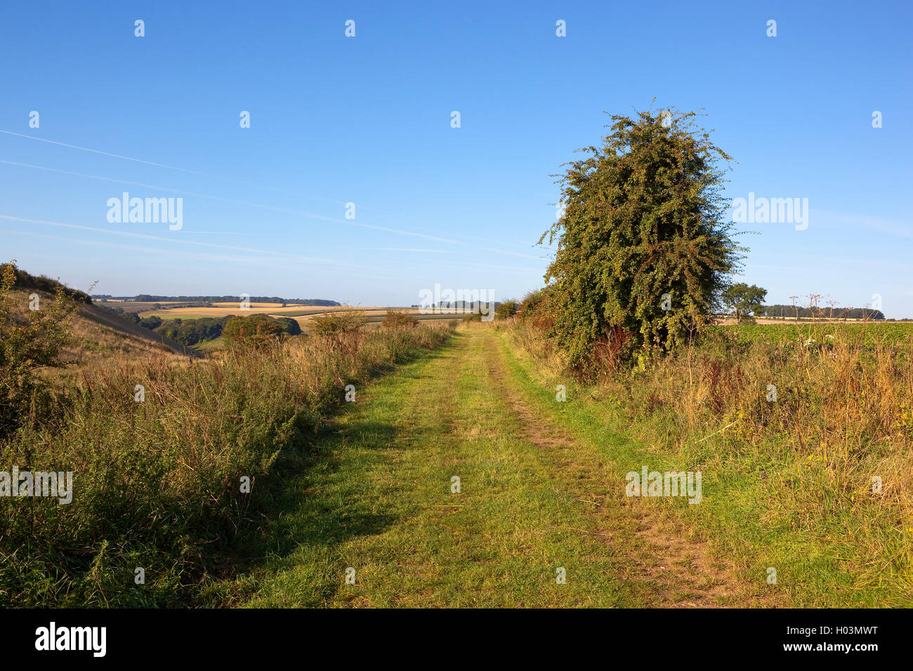 Il Minster modo sentiero di campagna nel Yorkshire wolds con vedute di scenic farmland sotto un cielo blu nel mese di settembre. Foto Stock