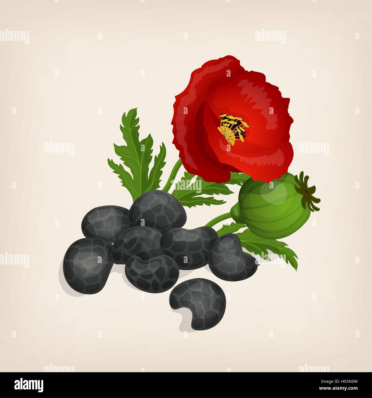 Pila di semi di papavero fiori e foglie. Illustrazione Vettoriale. Illustrazione Vettoriale
