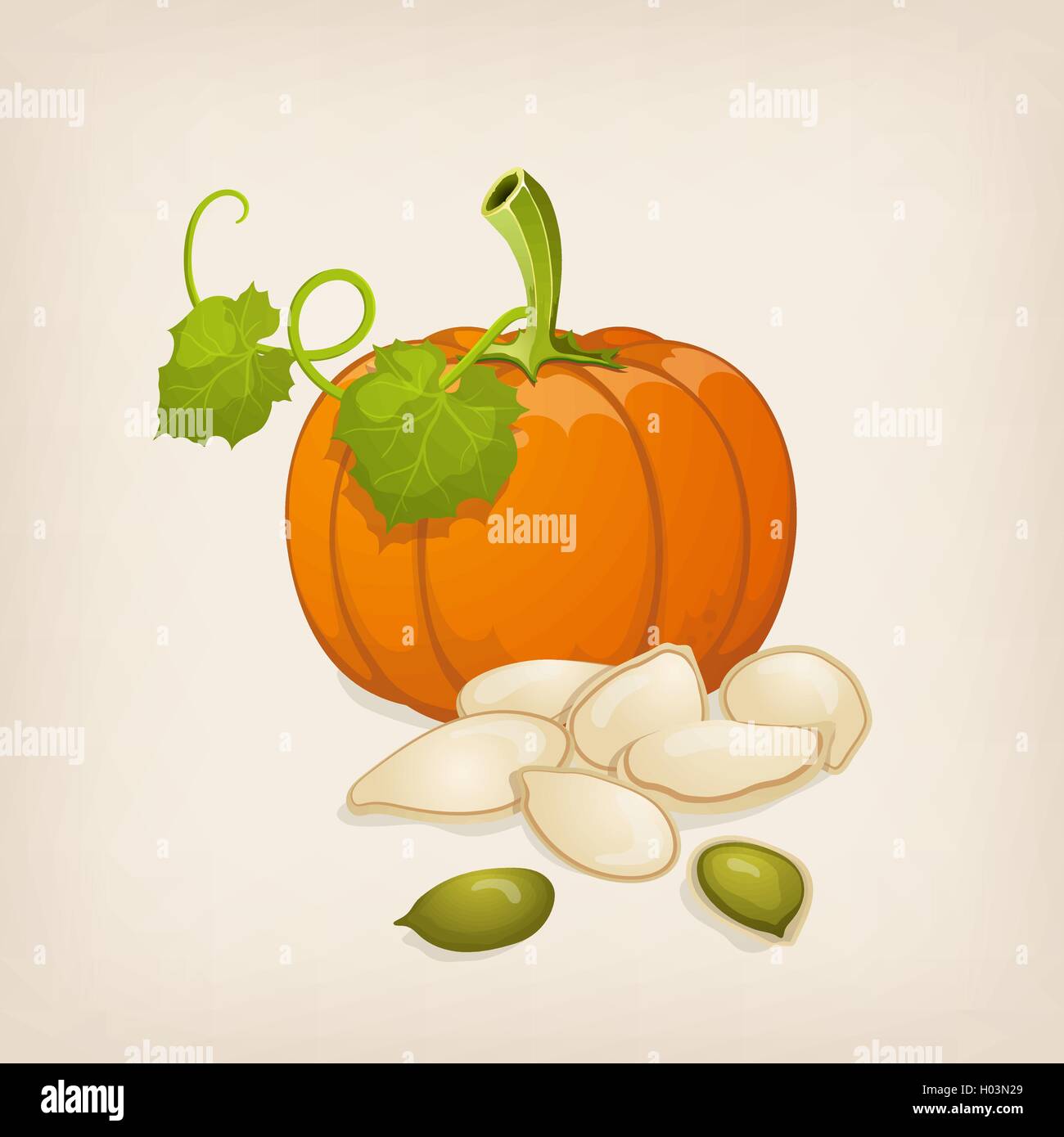 Di zucca e semi di zucca. Illustrazione Vettoriale. Illustrazione Vettoriale