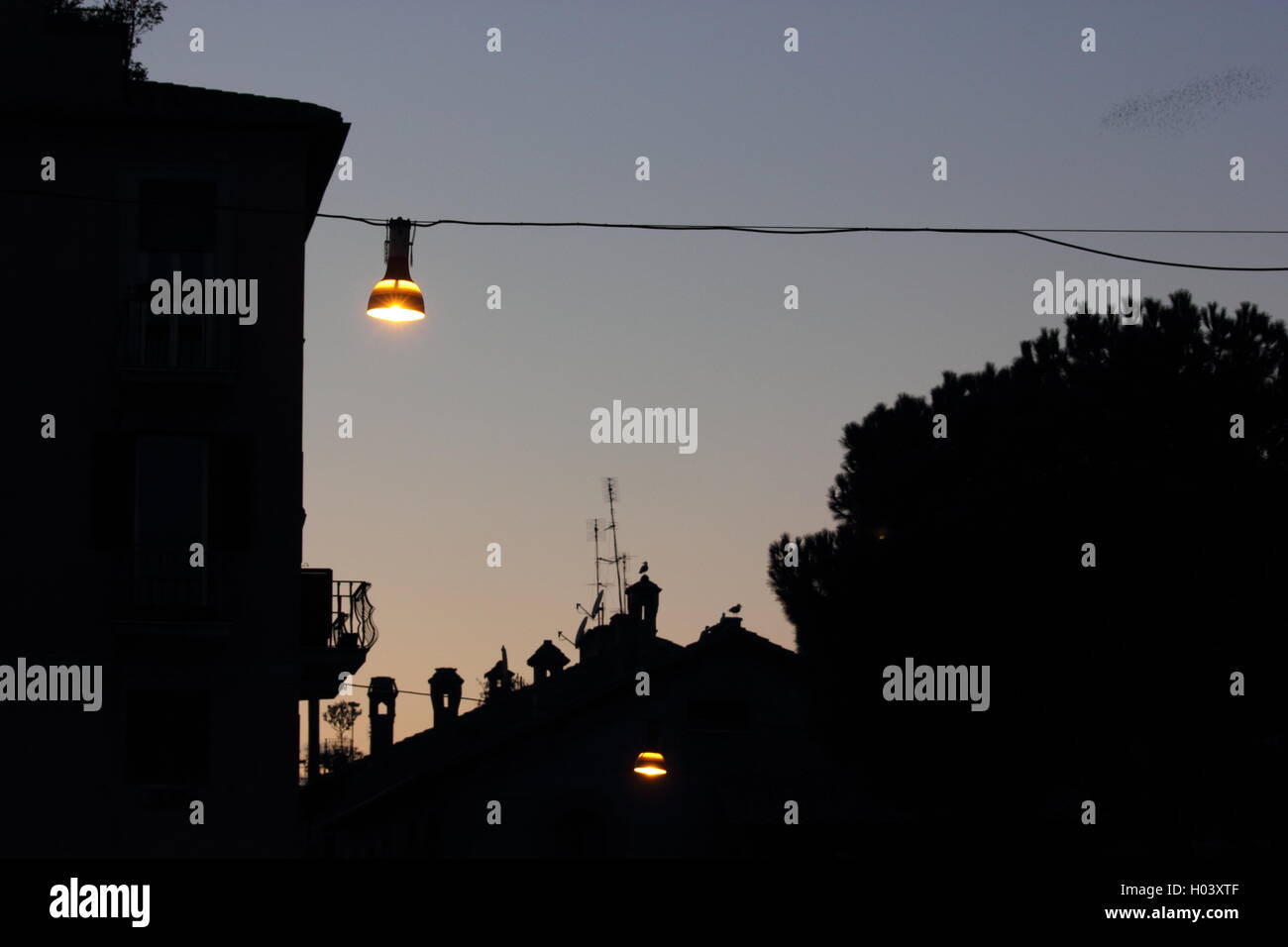 Bella strada lampade e stagliano palazzi al crepuscolo , roma, Italia, viaggi Foto Stock