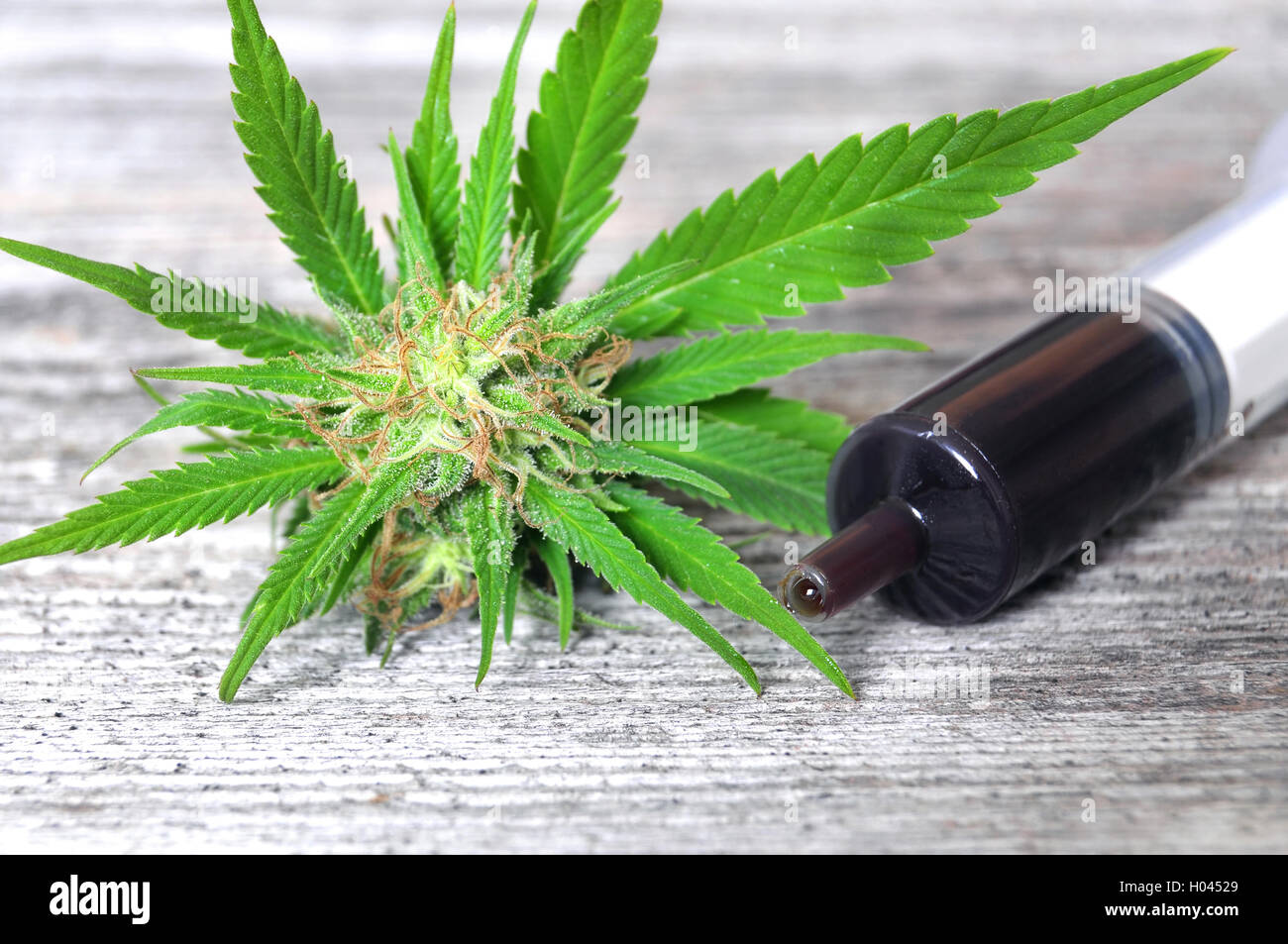 Medico di marijuana e olio di hash in siringa su una tavola di legno Foto Stock