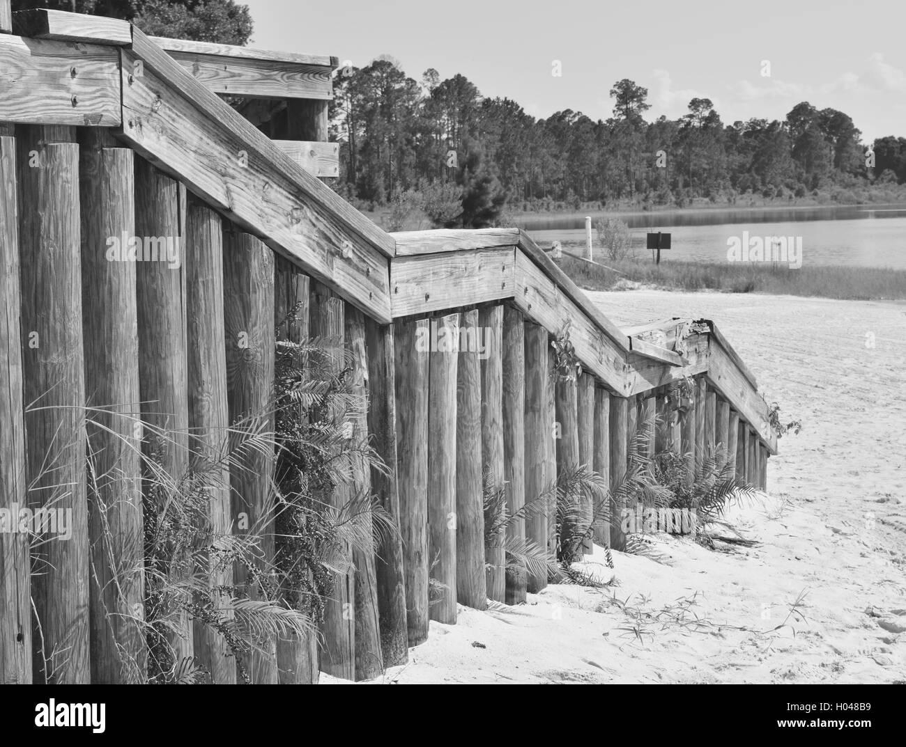 Scala in legno ad una spiaggia di sabbia in Florida con il fogliame. Foto Stock