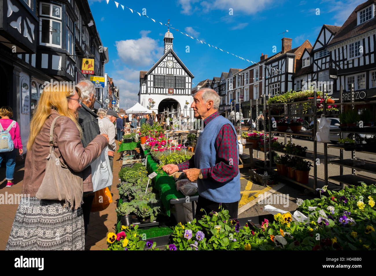 Una bancarella vendendo piante a Bridgnorth street market, Shropshire, Inghilterra, Regno Unito Foto Stock