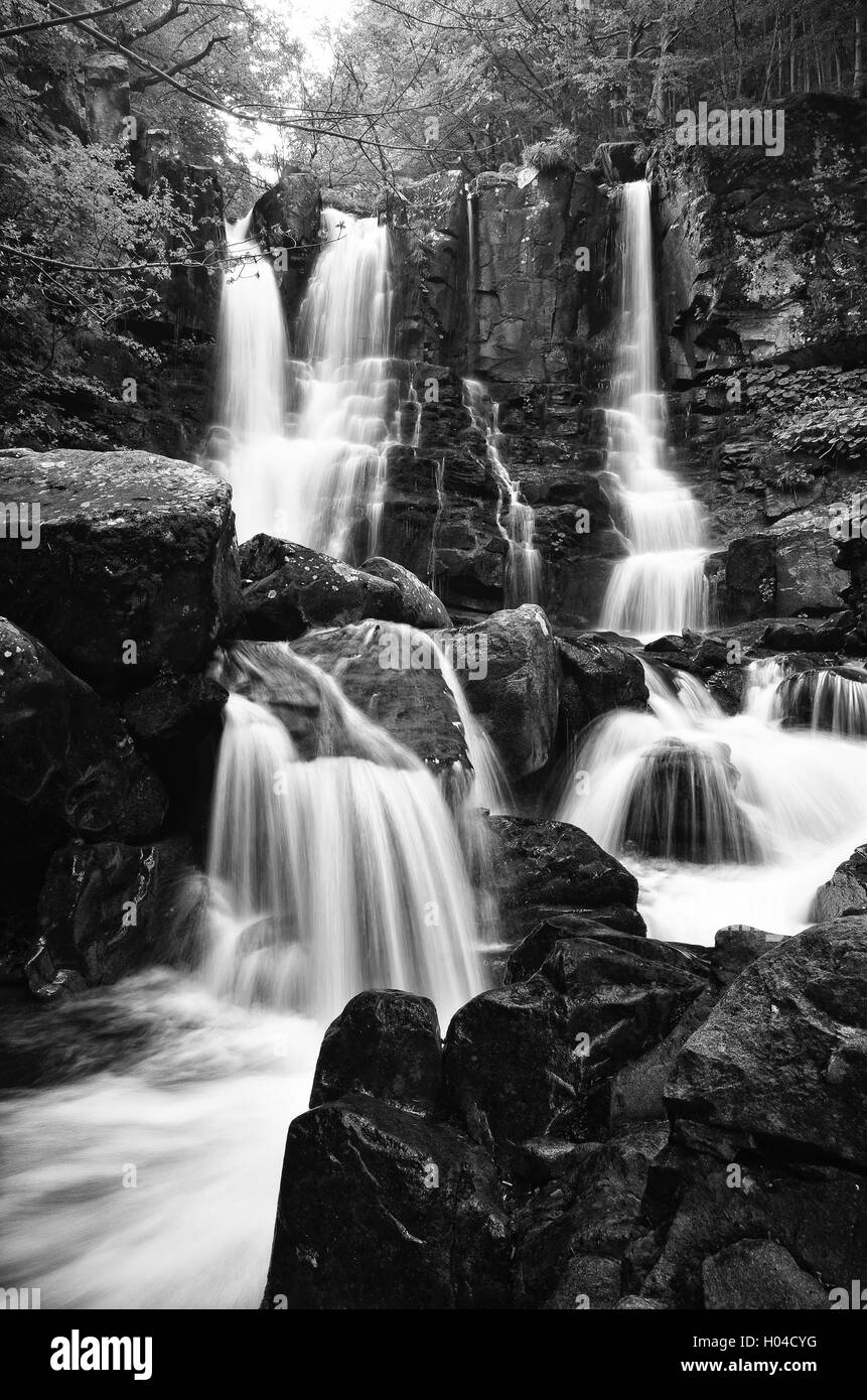 Dardagna' s cascata in Toscana,l'Italia,in primavera Foto Stock