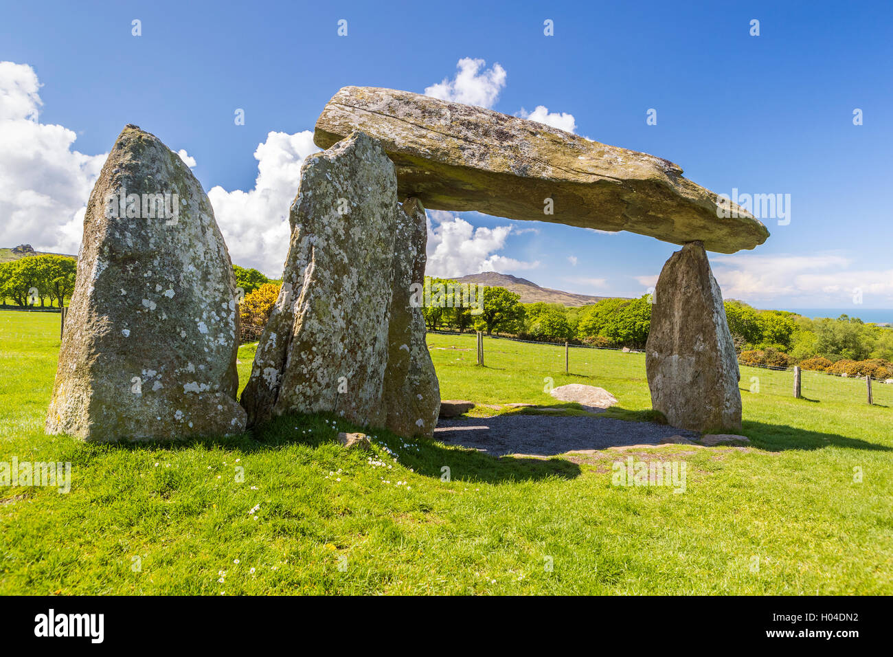 Pentre Ifan, neolitico camera di sepoltura, Pembrokeshire, Wales, Regno Unito, Europa Foto Stock