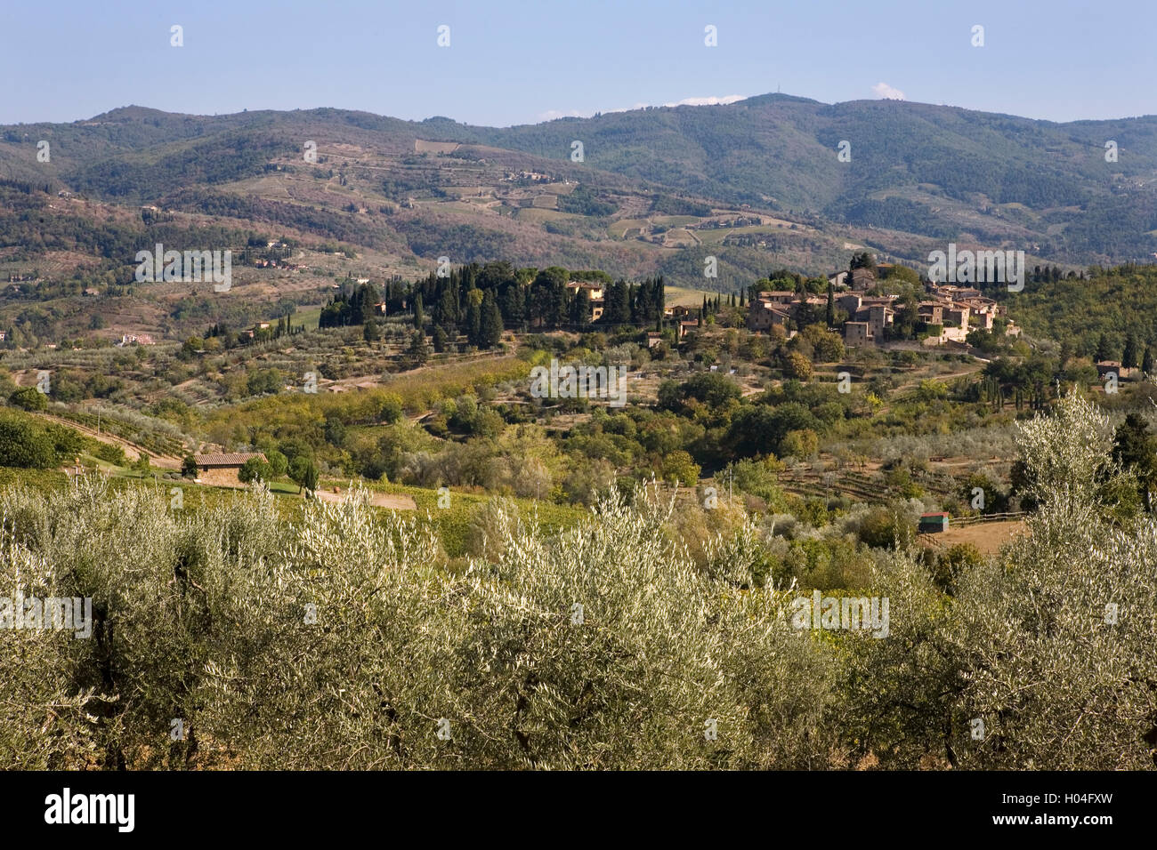 Vista di Montefioralle e le colline intorno a Greve in Chianti, dalla via di Zano, Toscana, Italia Foto Stock